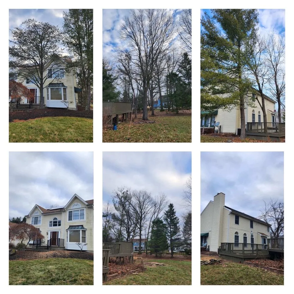 Affordable landscape design in Palmyra, NJ - Rock Solid Tree Services and More