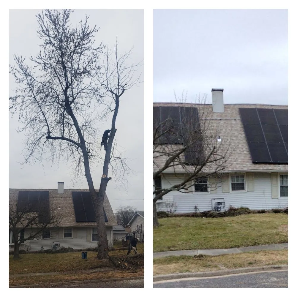 Expert lawn care service in Palmyra, NJ - Rock Solid Tree Services and More