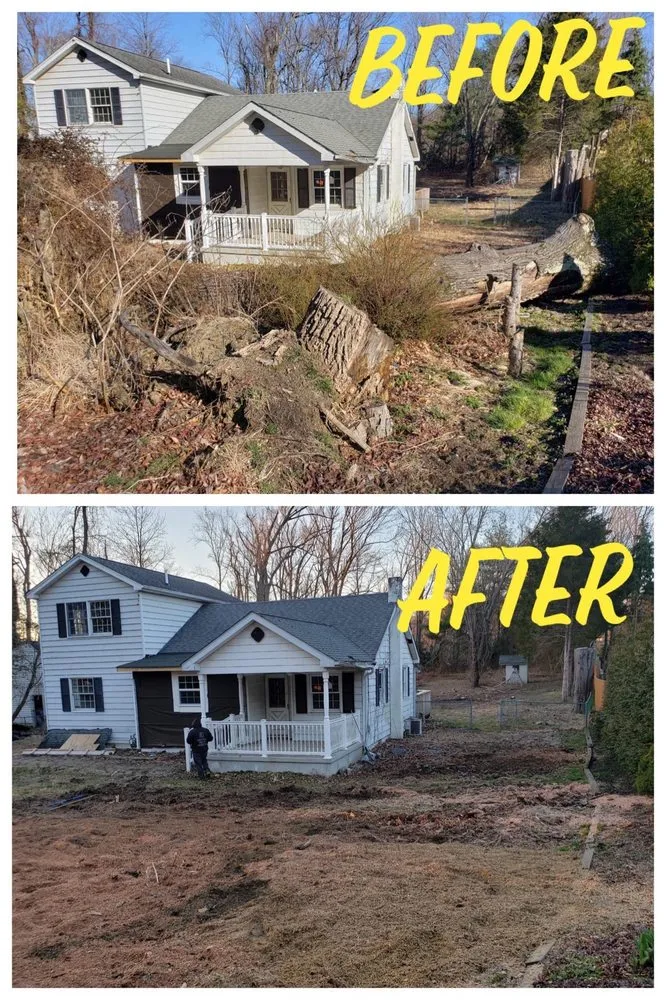 Top-rated lawn care service near you in Palmyra, NJ by Rock Solid Tree Services and More