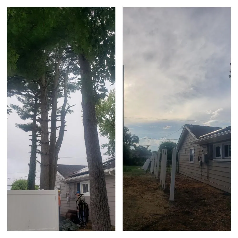 Custom residential landscaping for year-round maintenance in Palmyra, NJ by Rock Solid Tree Services and More