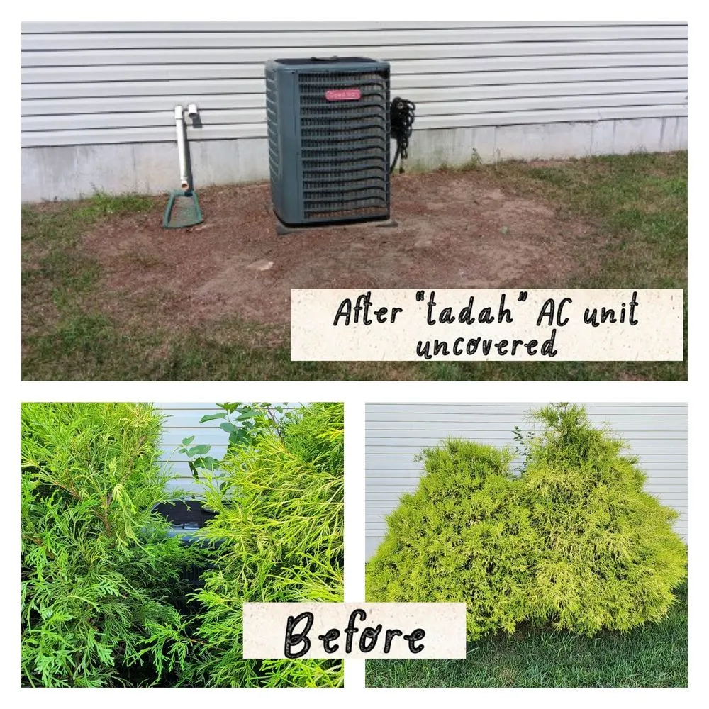 Affordable lawn care service in Palmyra, NJ - Rock Solid Tree Services and More