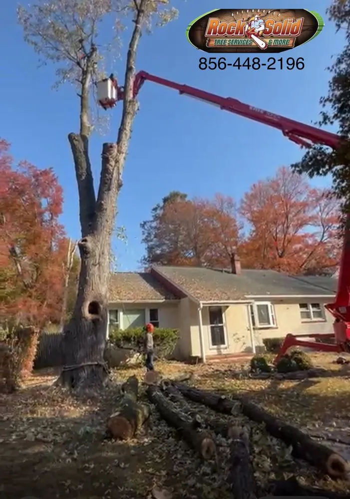 Professional residential landscaping for residential properties across Palmyra, NJ - Rock Solid Tree Services and More
