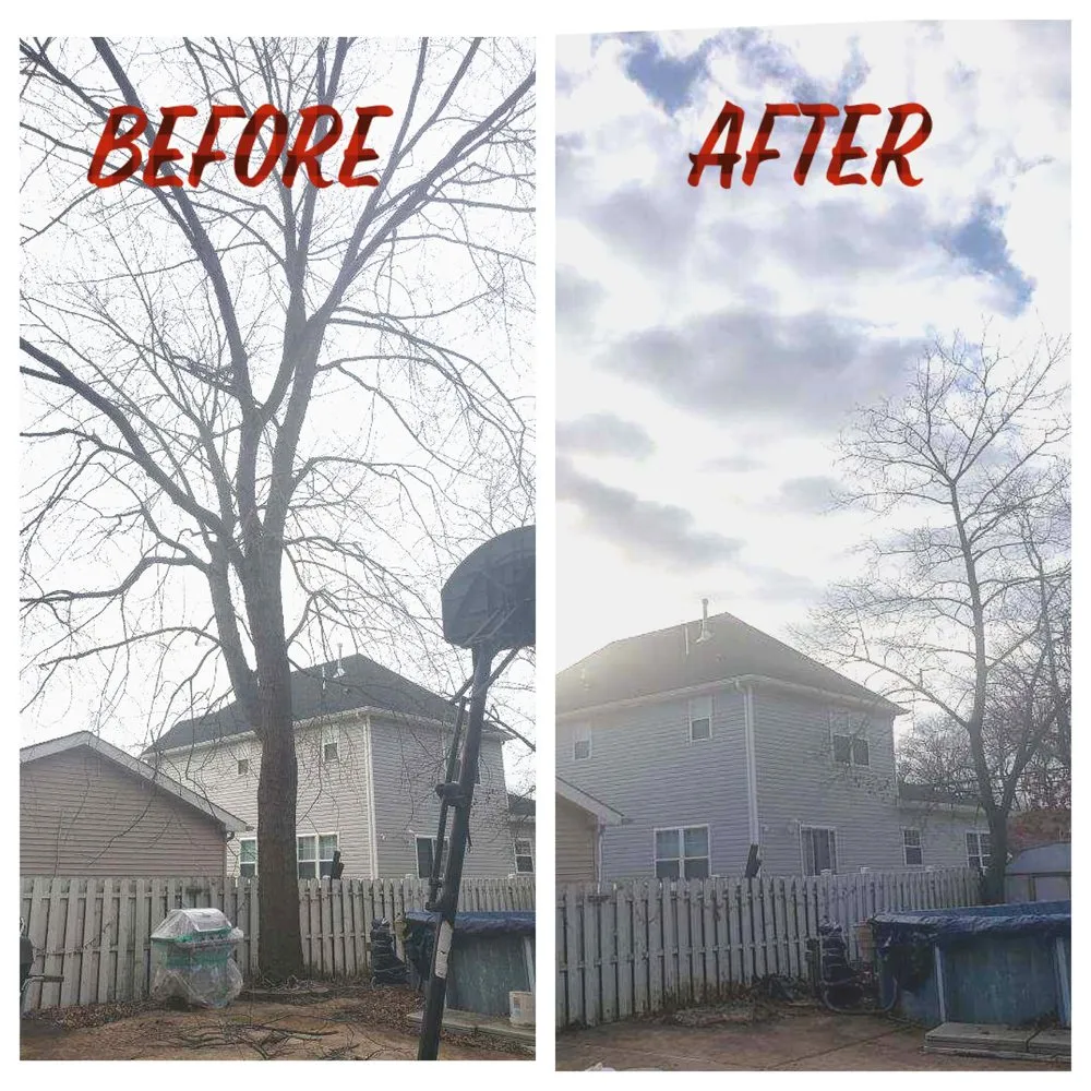 Reliable landscape design for beautiful yards in Palmyra, NJ by Rock Solid Tree Services and More