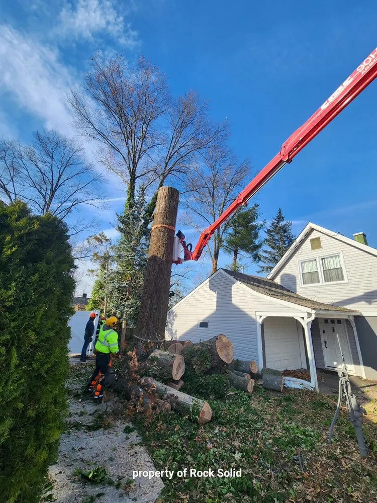 Expert landscaping services with custom design in Palmyra, NJ by Rock Solid Tree Services and More