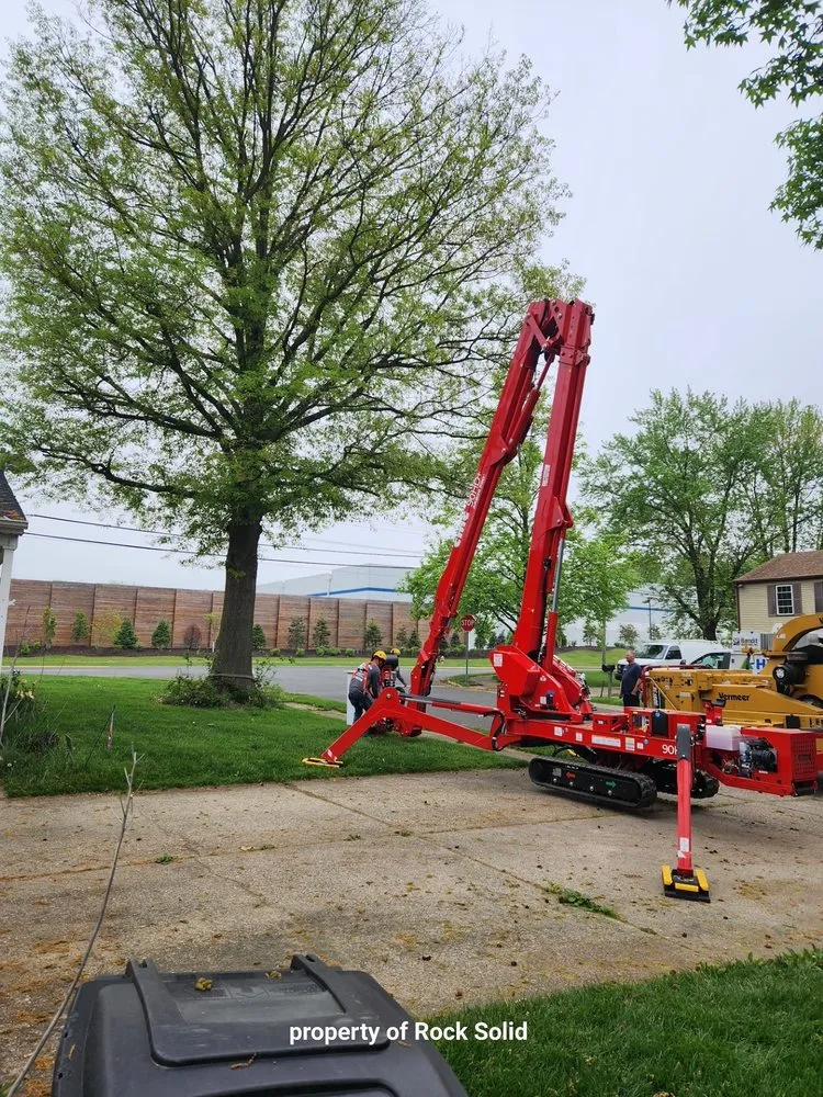 Professional lawn care service experts serving Palmyra, NJ - Rock Solid Tree Services and More