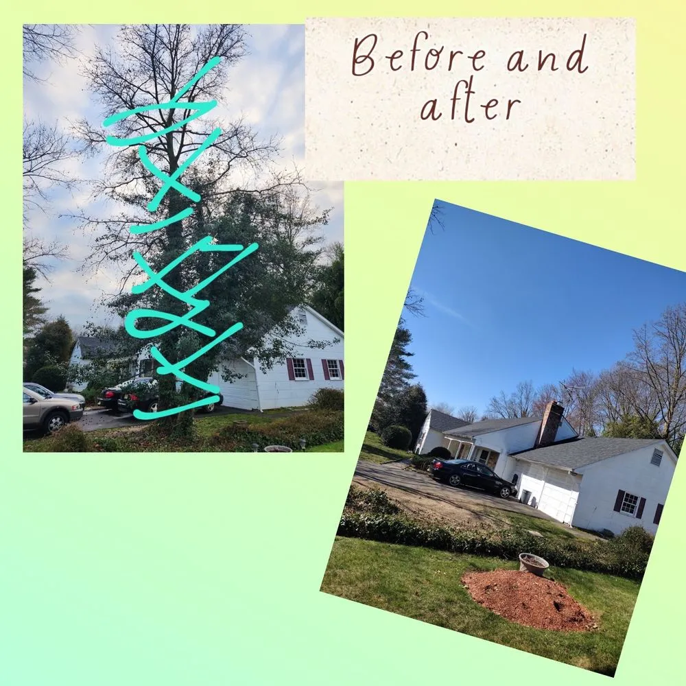 Expert residential landscaping experts serving Palmyra, NJ - Rock Solid Tree Services and More