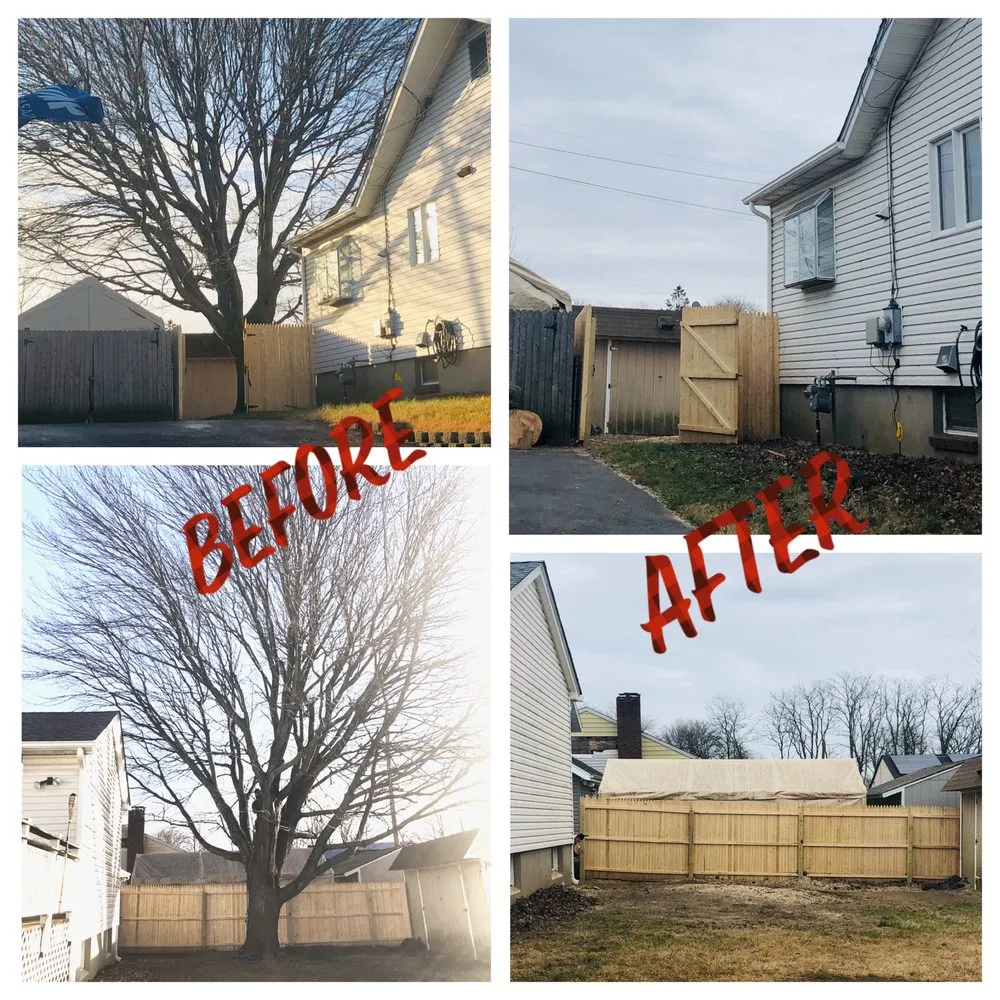 Professional residential landscaping experts serving Palmyra, NJ - Rock Solid Tree Services and More