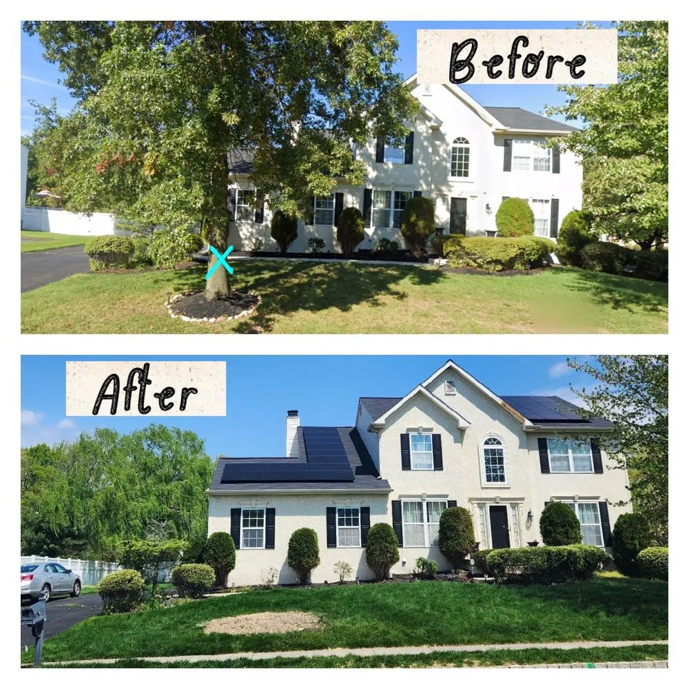 Expert garden landscaping for year-round maintenance across Palmyra, NJ - Rock Solid Tree Services and More