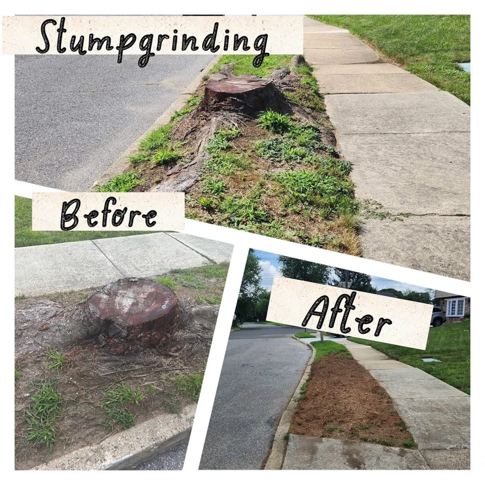 Expert landscape installation experts serving Palmyra, NJ - Rock Solid Tree Services and More