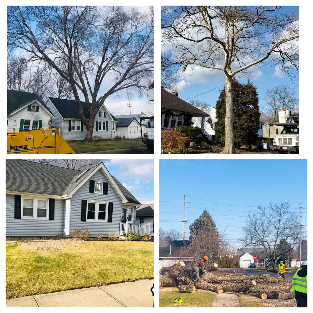 Custom garden landscaping in Palmyra, NJ by Rock Solid Tree Services and More