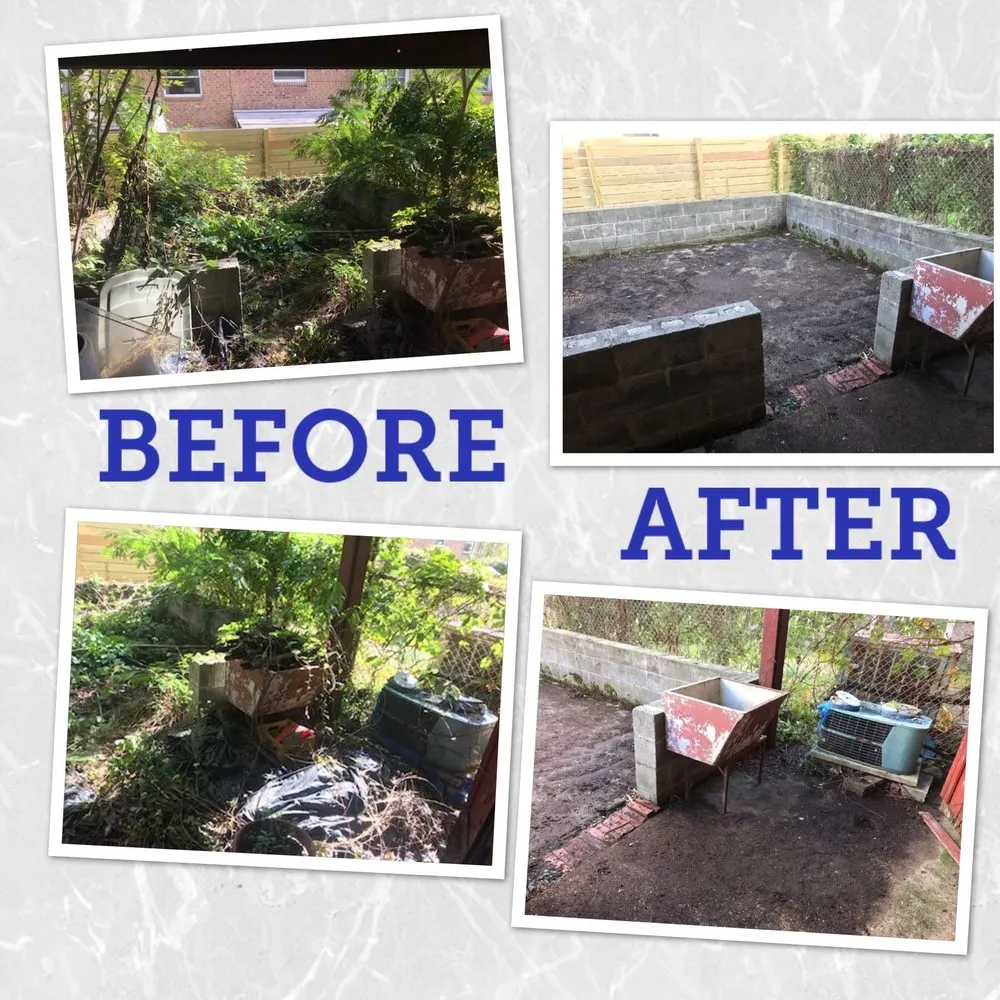 Custom yard maintenance experts serving Palmyra, NJ - Rock Solid Tree Services and More