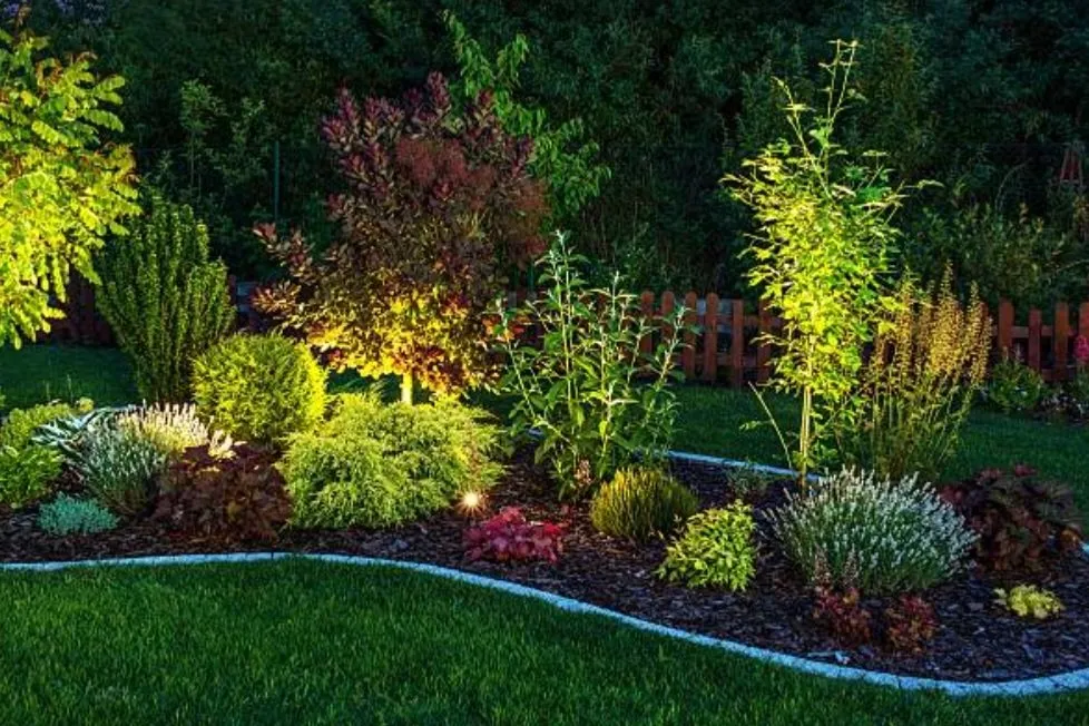 Local landscape design for homes in Arvada, CO by Rock Steady Landscaping & Design