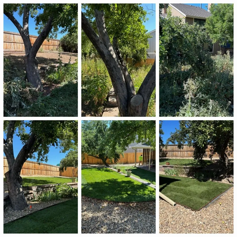 Custom yard maintenance in Arvada, CO - Rock Steady Landscaping & Design