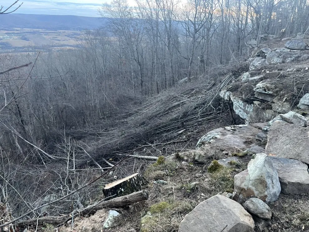 Custom residential landscaping for residential properties across Pikeville, TN - Rock Valley Designs