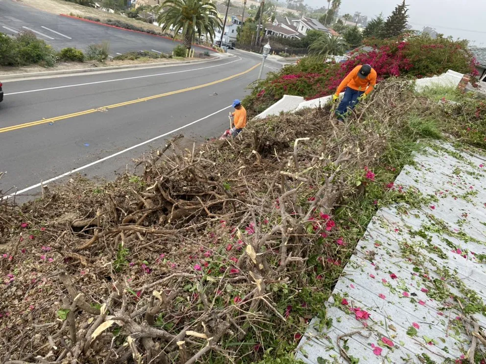 Affordable lawn mowing service in Stanton, CA by Rock Valley Landscaping Construction