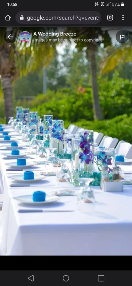 Top-rated yard maintenance in Largo, FL by Rock Your Style