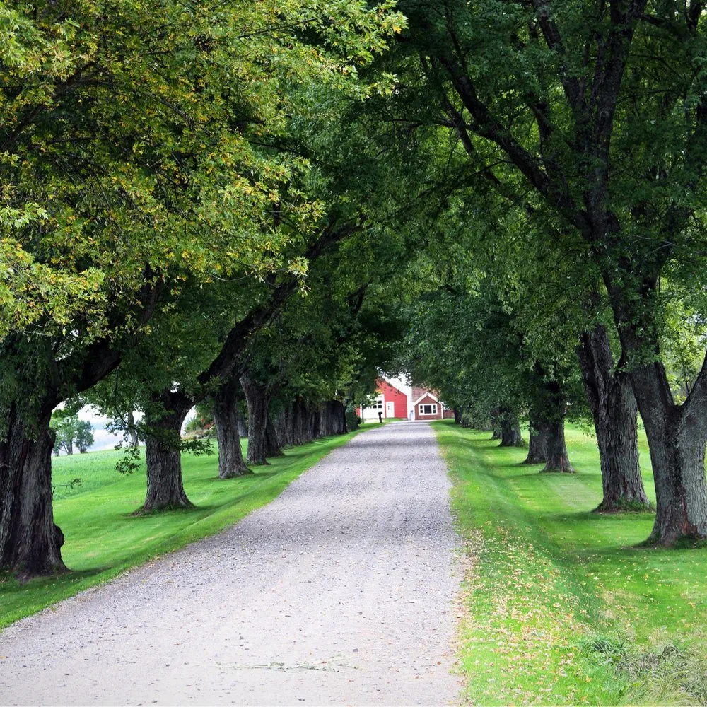 Top-rated lawn mowing service for year-round maintenance in Herriman, UT by Rockaholics Hardscapes