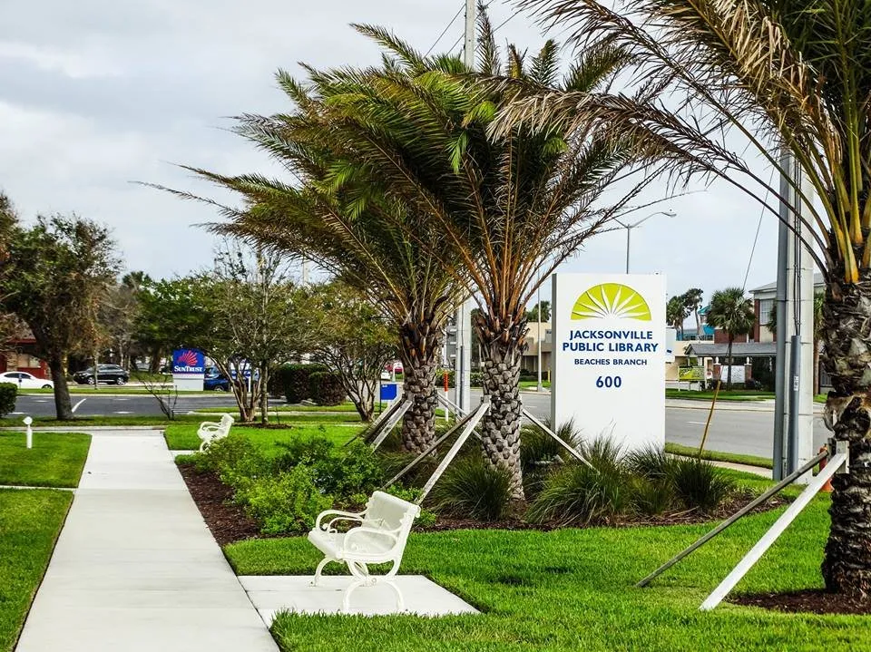 Expert yard cleanup service in Atlantic Beach, FL by Rockaway