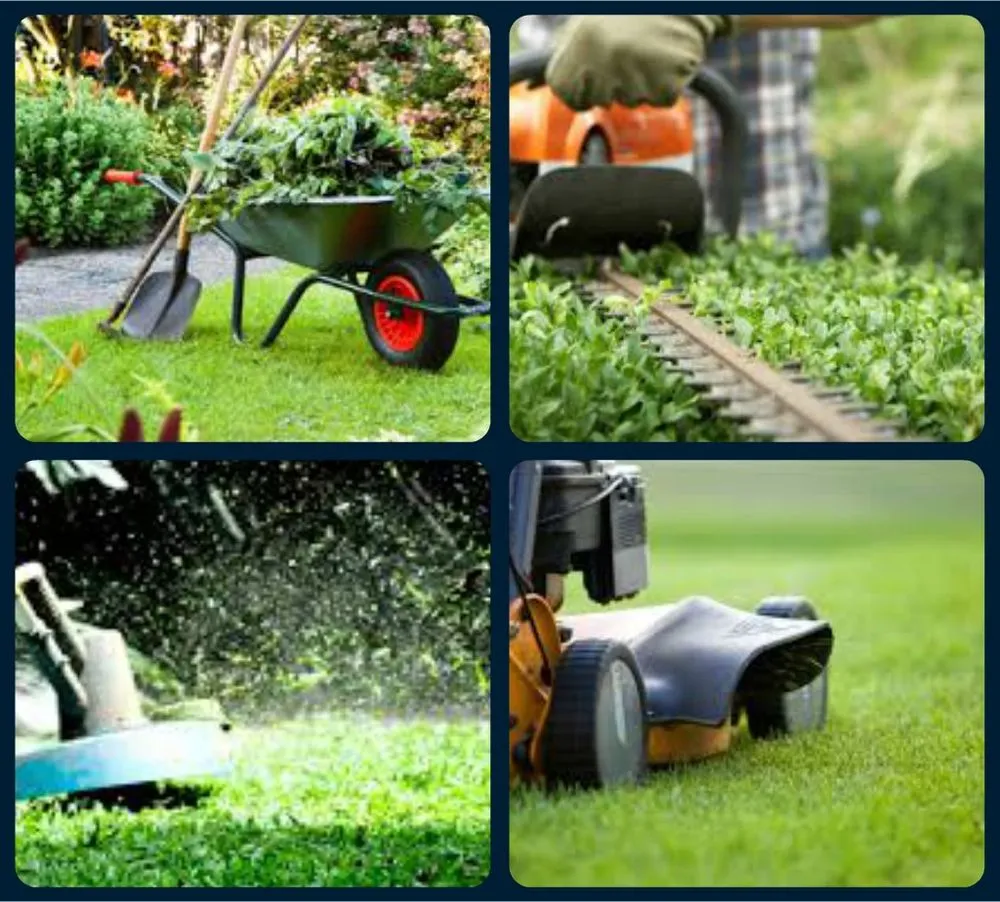 Local residential landscaping in Atlantic Beach, FL by Rockaway