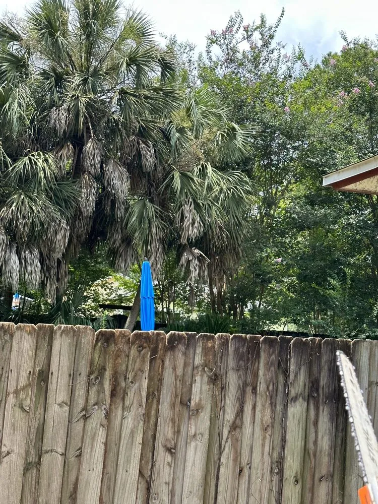 Professional lawn mowing service in Tallahassee, FL by RockBottom Lawn and Maintenance Services