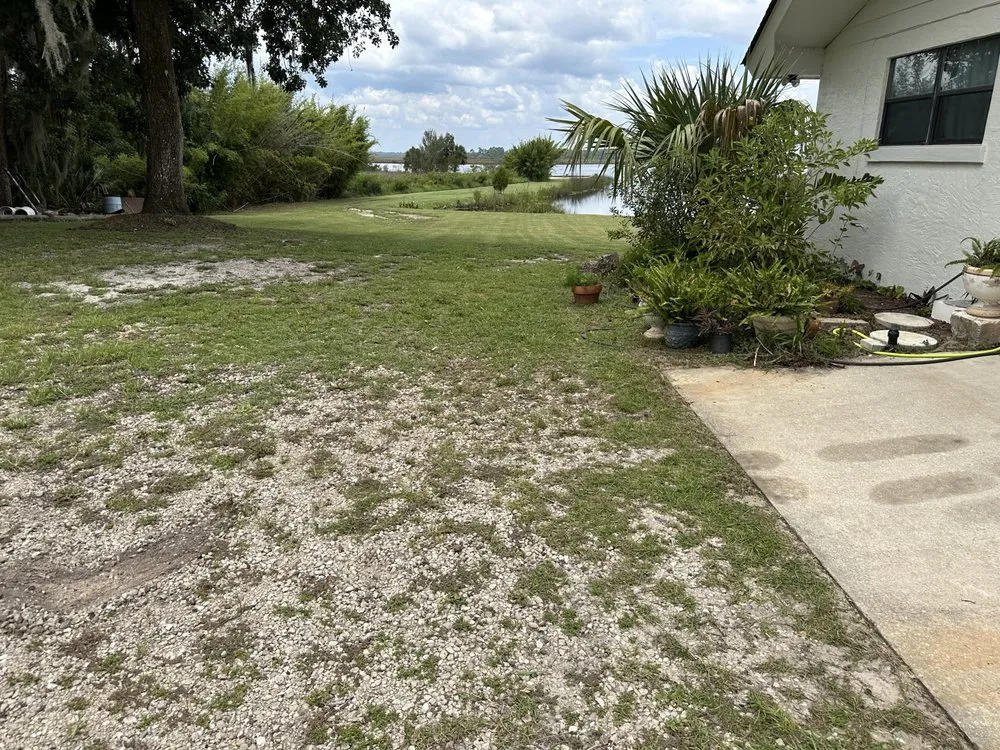 Reliable lawn care service in Tallahassee, FL - RockBottom Lawn and Maintenance Services