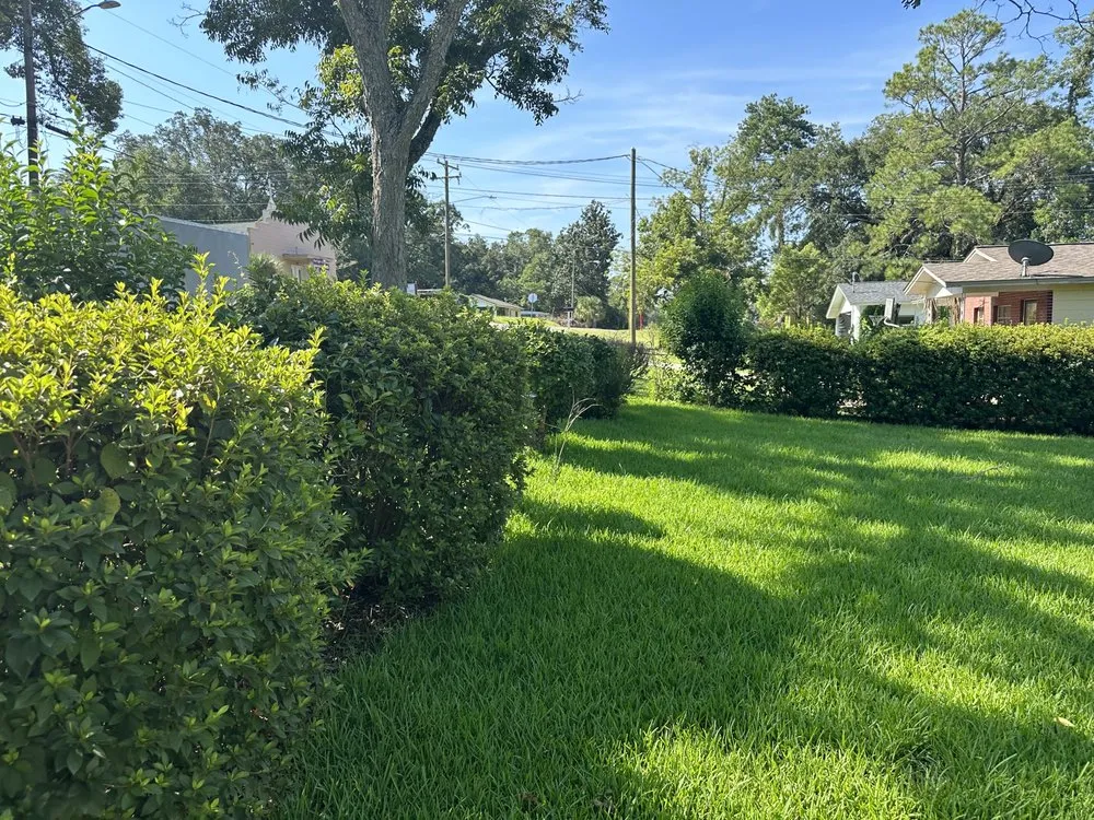 Custom landscaping services for residential properties across Tallahassee, FL - RockBottom Lawn and Maintenance Services
