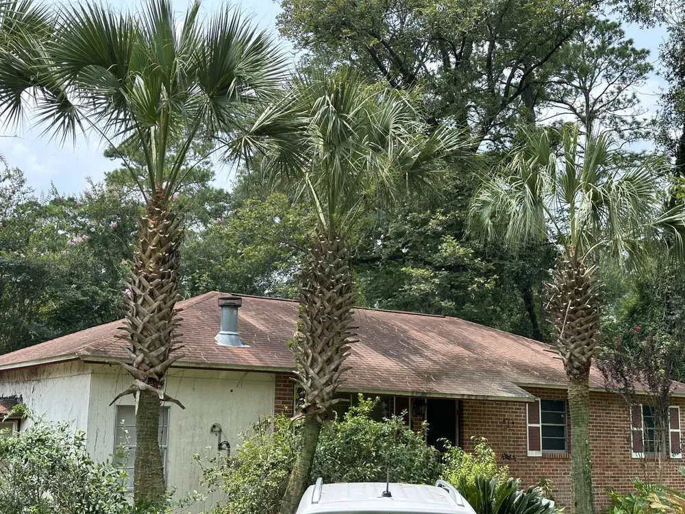 Local lawn mowing service in Tallahassee, FL - RockBottom Lawn and Maintenance Services