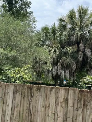 RockBottom Lawn and Maintenance Services Logo