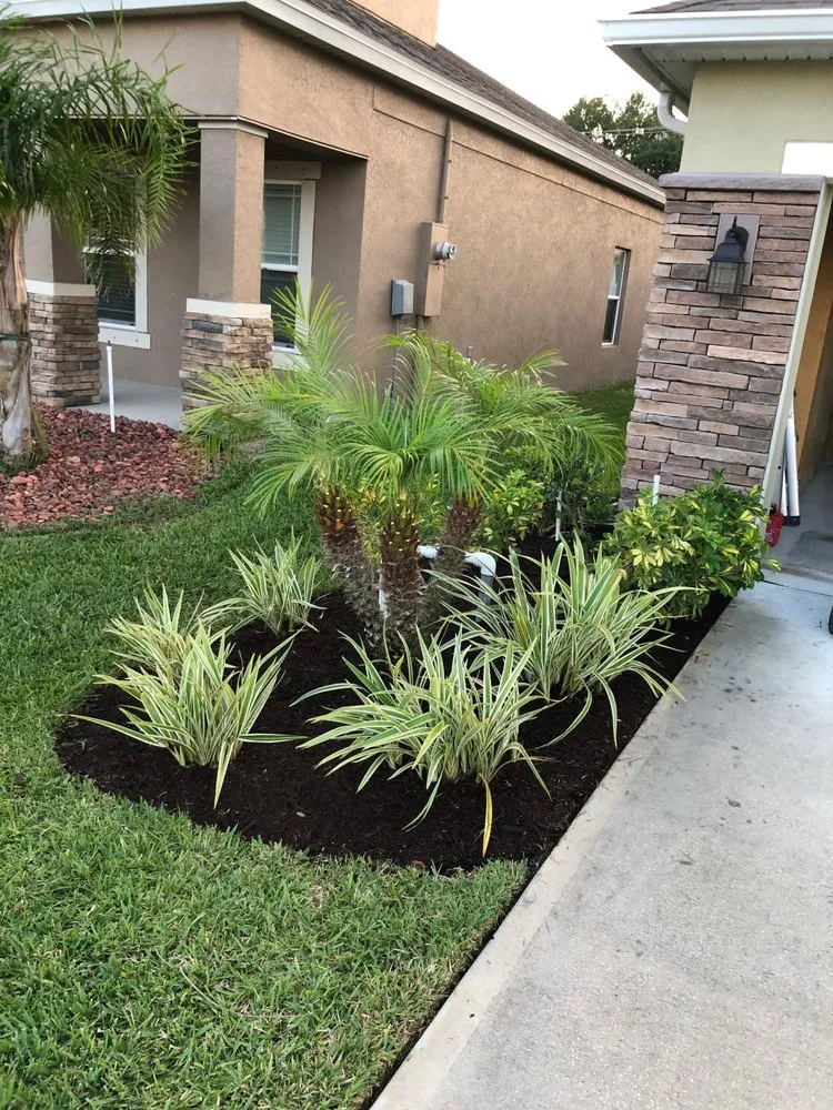 Reliable landscape design for beautiful yards across Palm Bay, FL - Rocket Lawn & Landscape