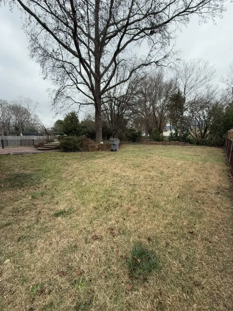 Custom landscaping services in Charlotte, NC - Rocket Lawn Care