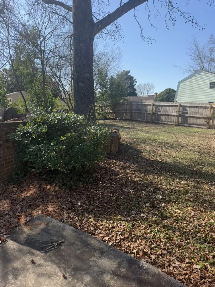 Custom lawn mowing service in Charlotte, NC - Rocket Lawn Care