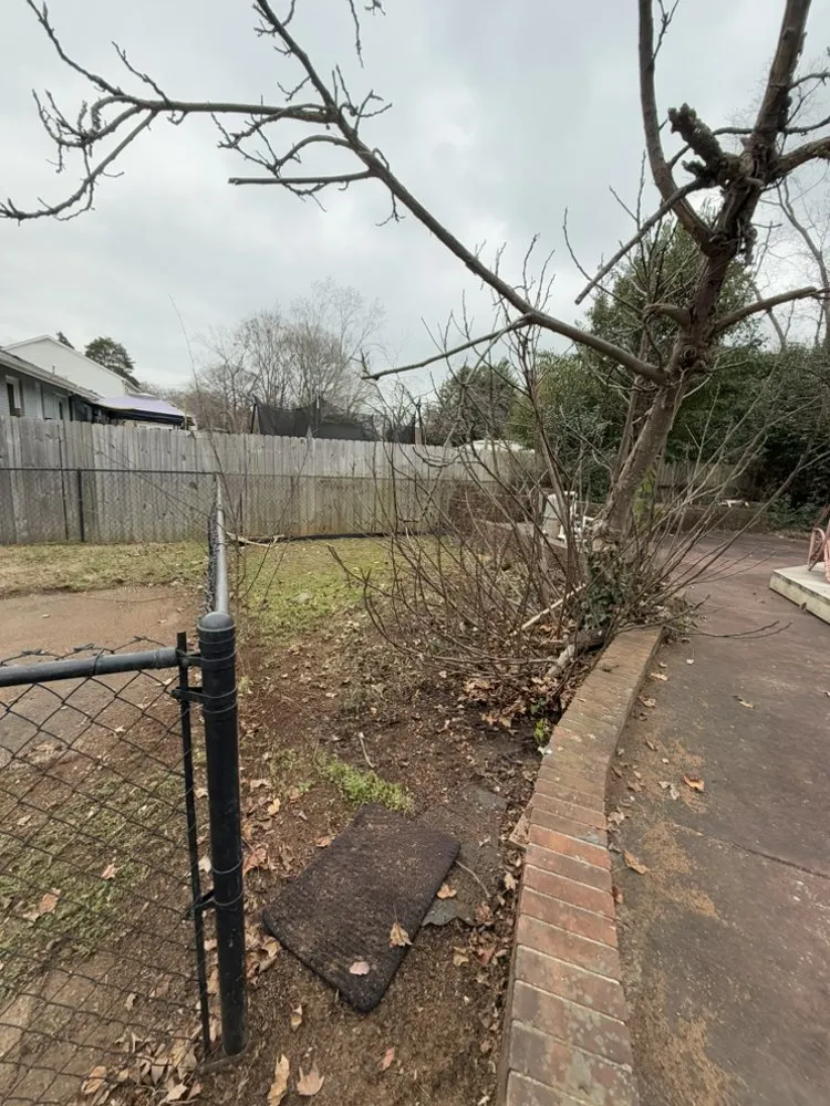 Custom residential landscaping in Charlotte, NC - Rocket Lawn Care