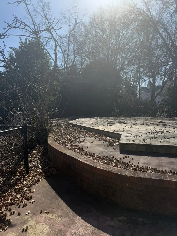 Trusted residential landscaping experts serving Charlotte, NC - Rocket Lawn Care