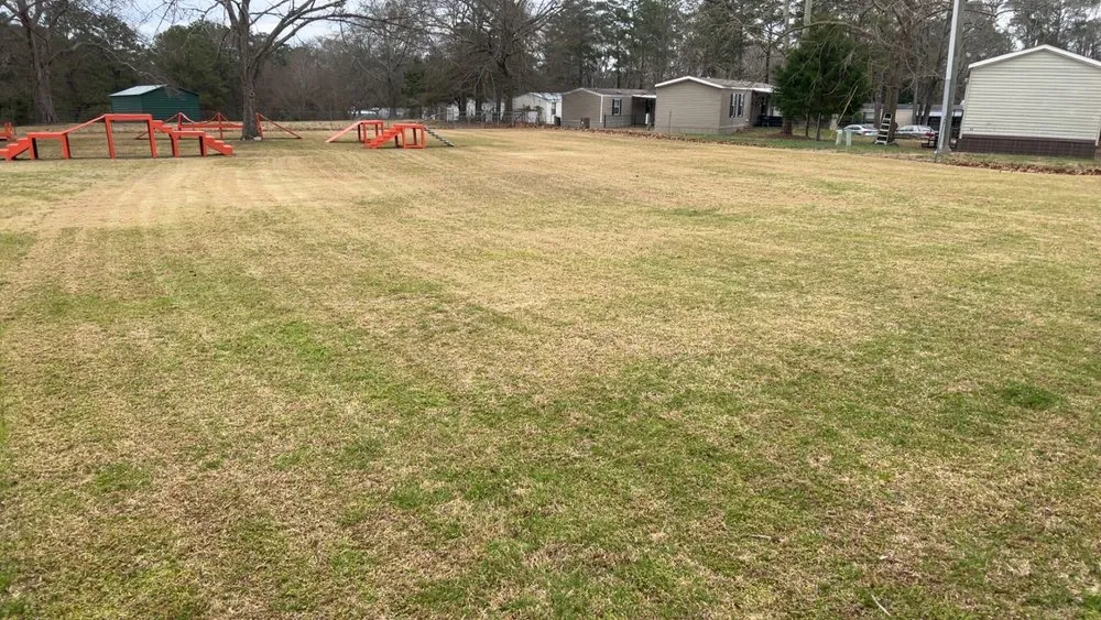 Professional landscape design experts serving Opelika, AL - Rocket Lawn Maintenance