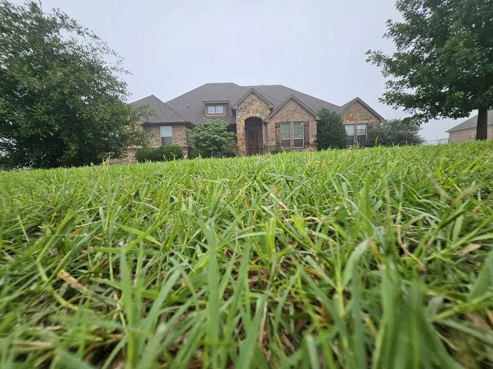 Professional landscaping services for outdoor upgrades across Weatherford, TX - Rocket Lawns