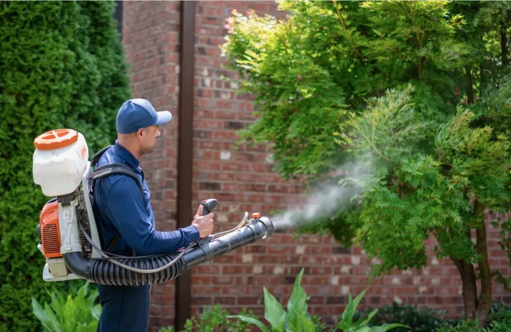 Custom outdoor landscaping for beautiful yards across Atlanta, GA - Rocket Pest Control