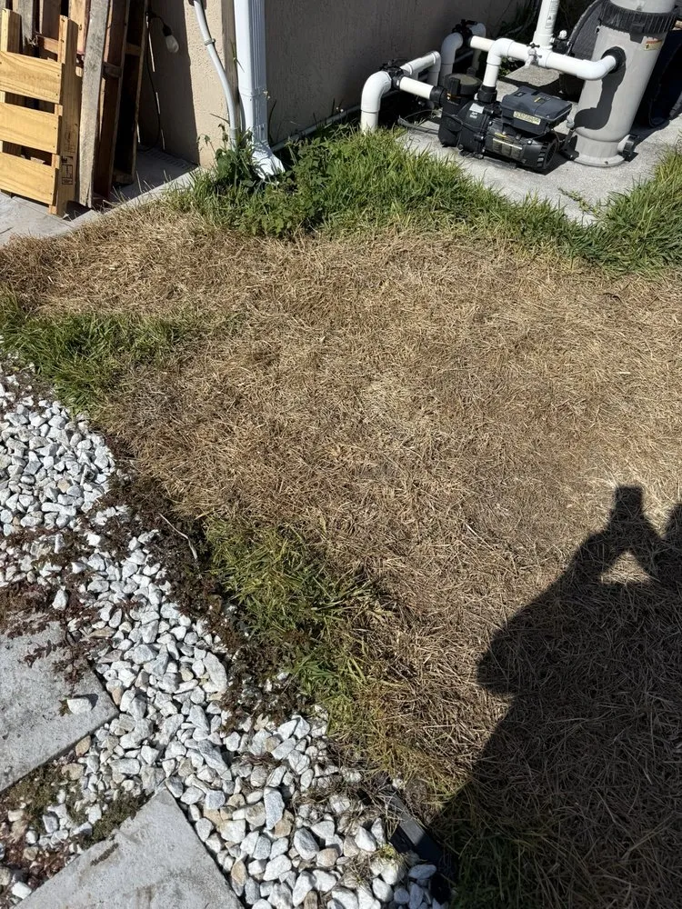 Expert landscape design in Port St Lucie, FL by Rocket Pest Control