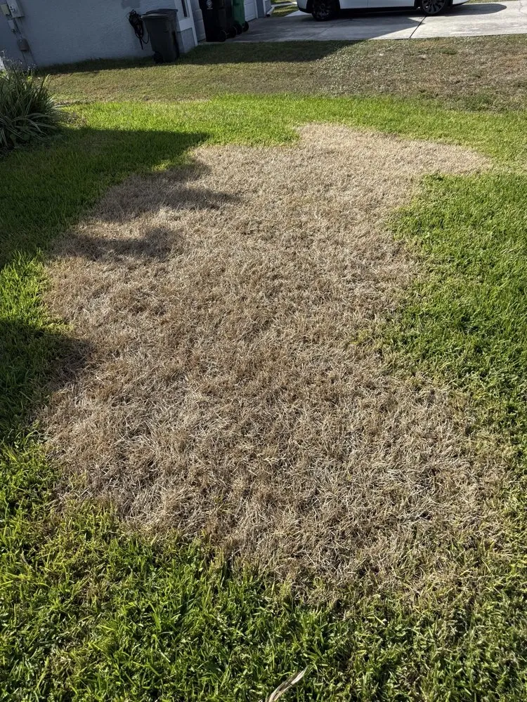 Reliable yard cleanup service for residential properties in Port St Lucie, FL by Rocket Pest Control