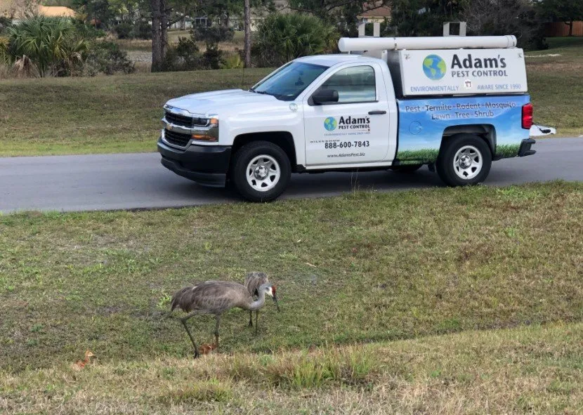 Top-rated yard maintenance in Port St Lucie, FL by Rocket Pest Control