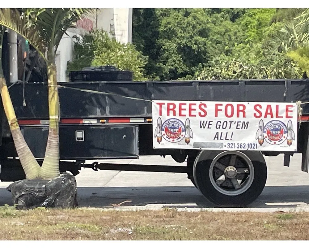 Expert landscaping services in Titusville, FL by Rocket Tree Service