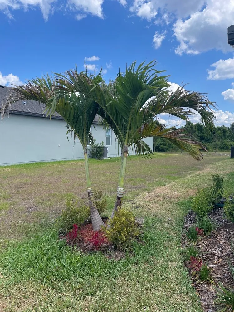 Local garden landscaping for homes across Titusville, FL - Rocket Tree Service