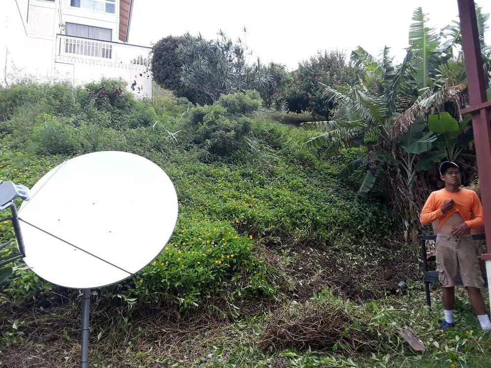 Trusted lawn mowing service with custom design in Waipahu, HI by Rocket Tree Surgeons & Landscaping Services