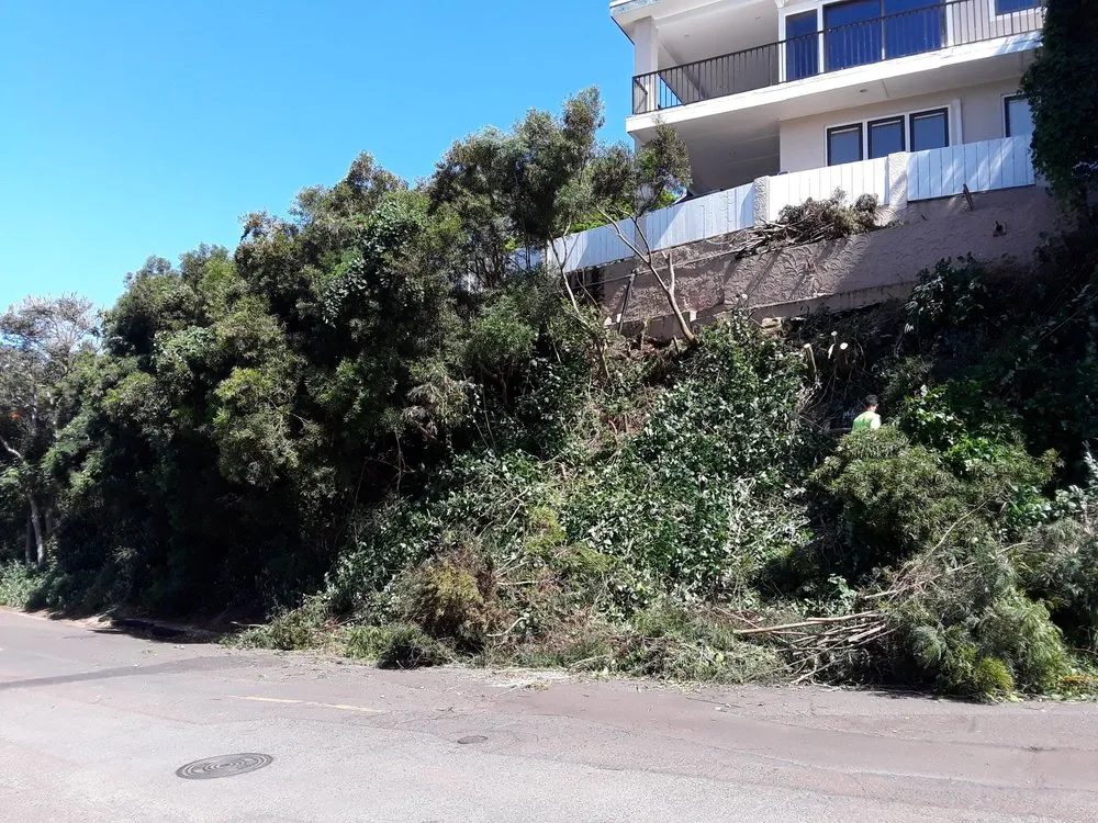 Custom lawn mowing service for outdoor upgrades across Waipahu, HI - Rocket Tree Surgeons & Landscaping Services