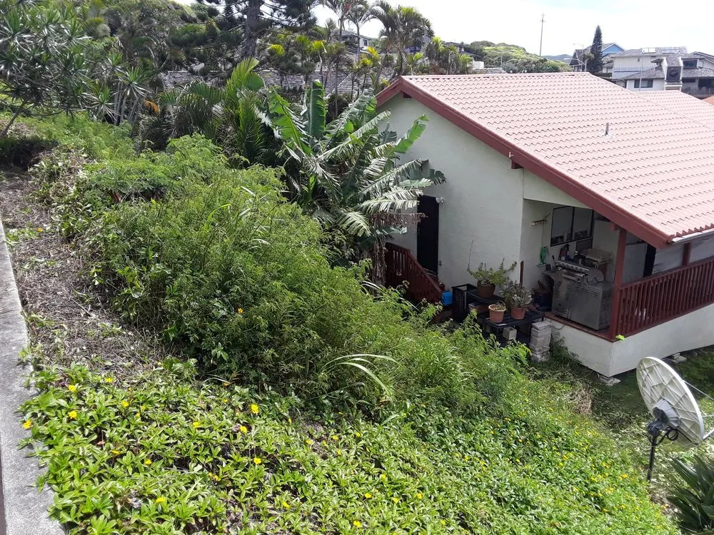 Professional lawn mowing service for residential properties in Waipahu, HI by Rocket Tree Surgeons & Landscaping Services