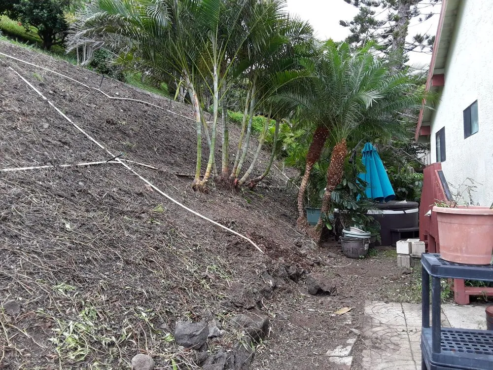 Custom residential landscaping in Waipahu, HI by Rocket Tree Surgeons & Landscaping Services