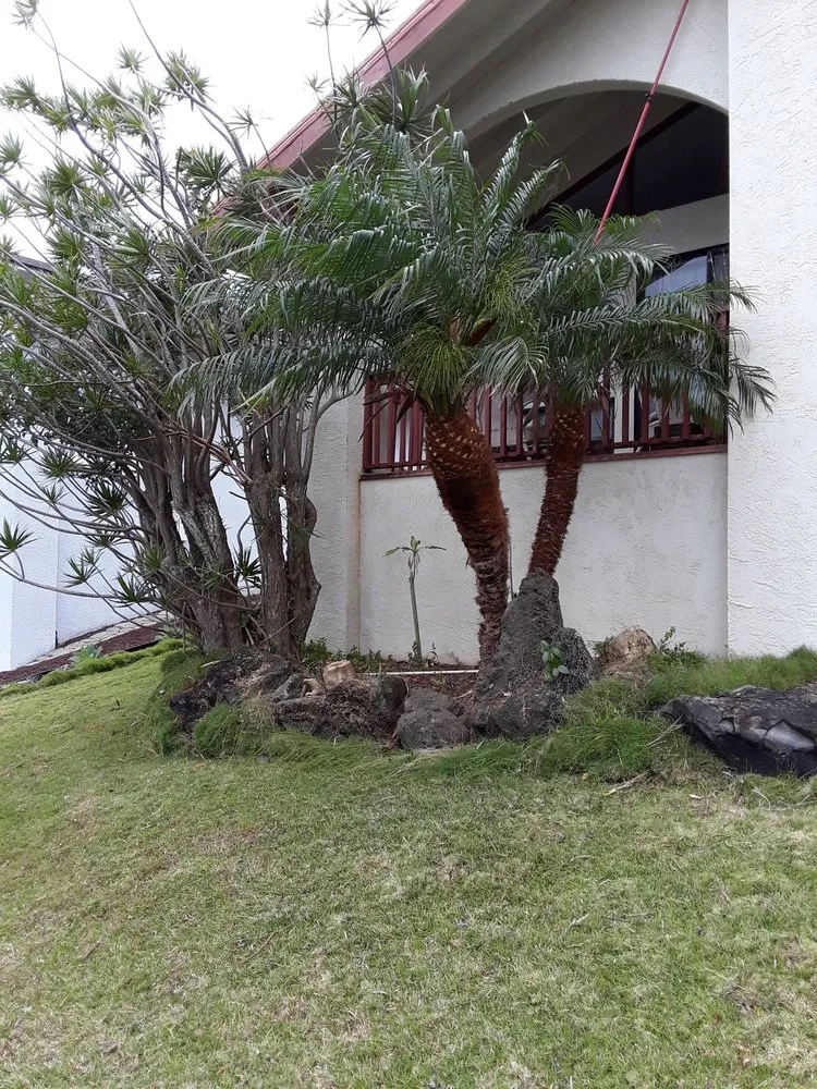 Affordable garden landscaping experts serving Waipahu, HI - Rocket Tree Surgeons & Landscaping Services