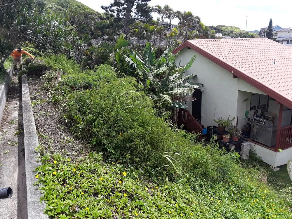 Custom residential landscaping in Waipahu, HI - Rocket Tree Surgeons & Landscaping Services