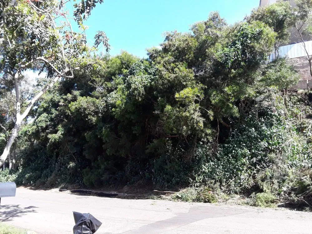 Reliable lawn mowing service in Waipahu, HI by Rocket Tree Surgeons & Landscaping Services