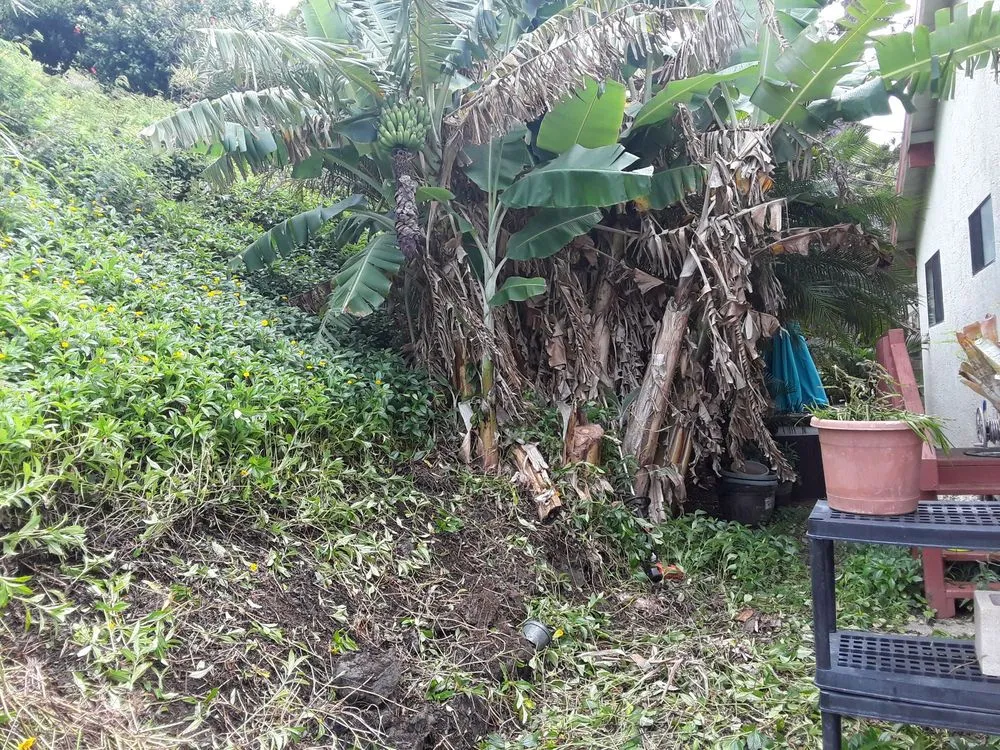 Trusted garden landscaping for beautiful yards across Waipahu, HI - Rocket Tree Surgeons & Landscaping Services