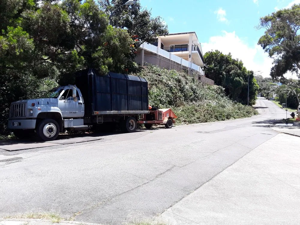 Expert lawn mowing service experts serving Waipahu, HI - Rocket Tree Surgeons & Landscaping Services
